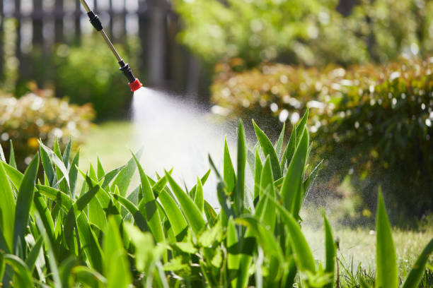 Tamper-Resistant Bait Stations for Rodents in Crescent Springs