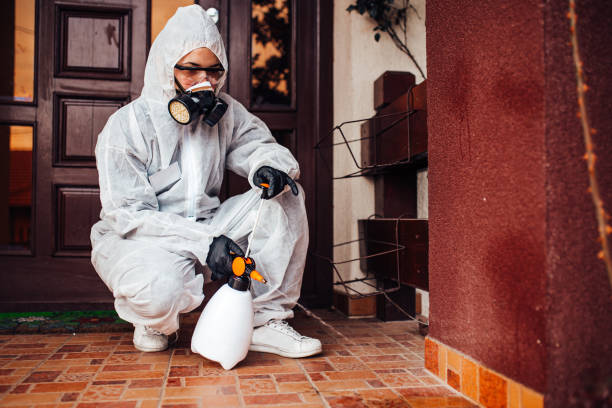 Attic and Crawl Space Rodent Treatment in Crescent Springs