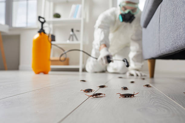 Commercial Rodent Management in Crescent Springs